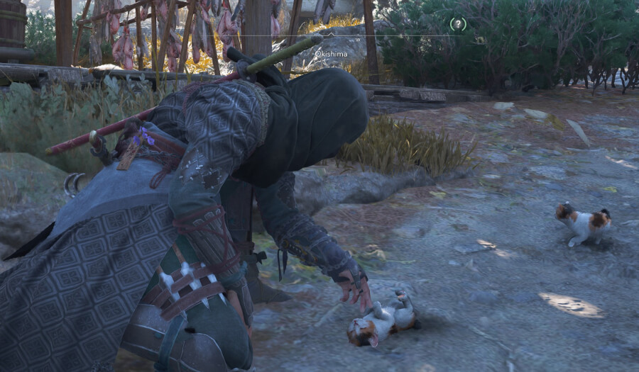 Assassin's Creed Shadow Cat Island Map location cat